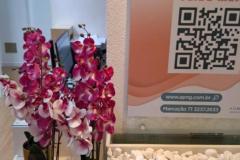 IMG-20241029-WA0019